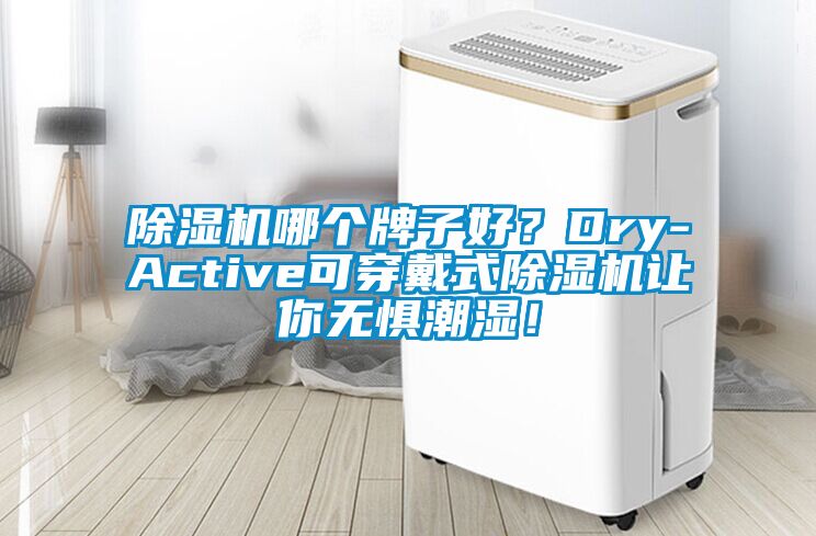 除濕機哪個牌子好？Dry-Active可穿戴式除濕機讓你無懼潮濕！