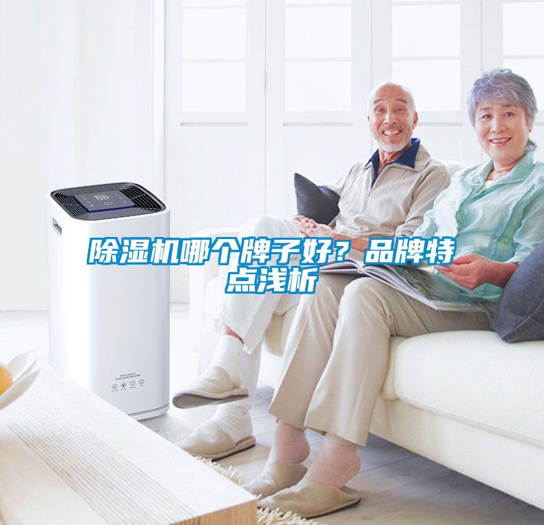 除濕機哪個牌子好？品牌特點淺析