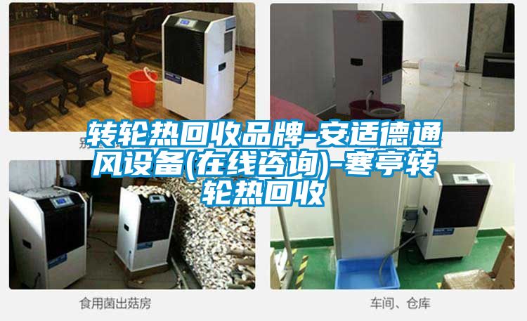轉輪熱回收品牌-安適德通風設備(在線咨詢)-寒亭轉輪熱回收