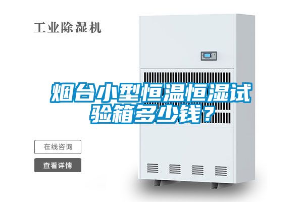 煙臺小型恒溫恒濕試驗箱多少錢？