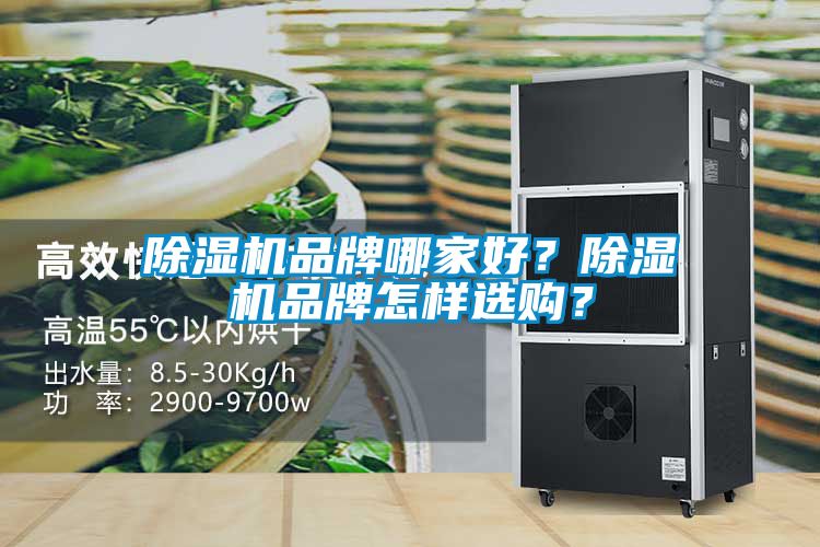 除濕機品牌哪家好？除濕機品牌怎樣選購？