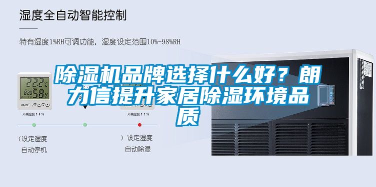除濕機品牌選擇什么好？朗力信提升家居除濕環境品質