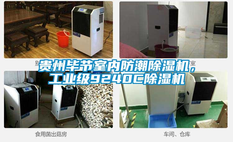 貴州畢節室內防潮除濕機，工業級9240C除濕機