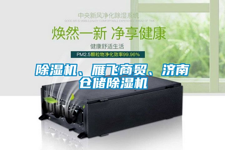 除濕機、雁飛商貿、濟南倉儲除濕機