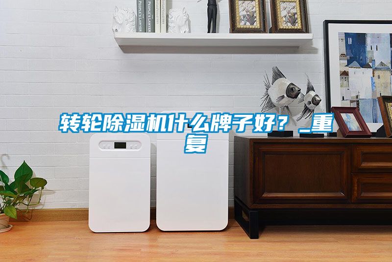 轉輪除濕機什么牌子好？_重復