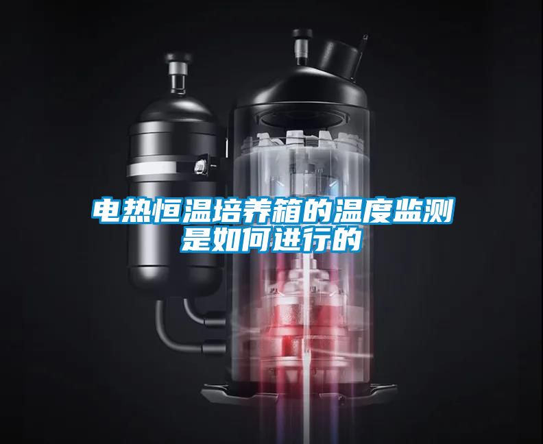 電熱恒溫培養箱的溫度監測是如何進行的