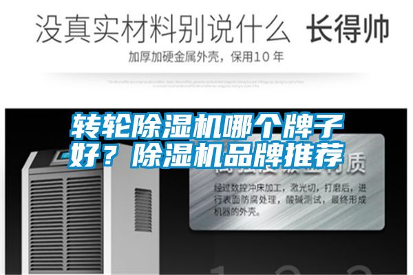 轉輪除濕機哪個牌子好？除濕機品牌推薦