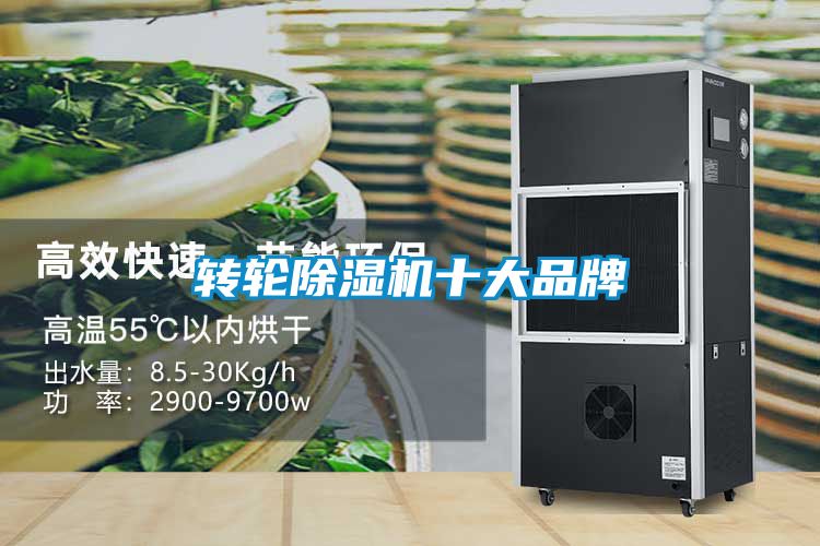 轉輪除濕機十大品牌