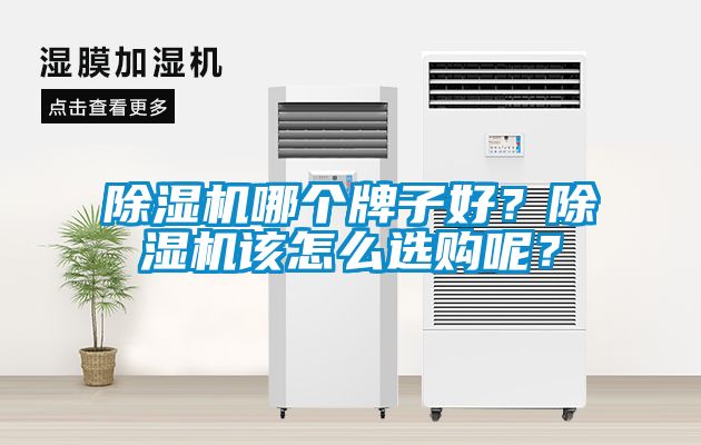 除濕機哪個牌子好？除濕機該怎么選購呢？