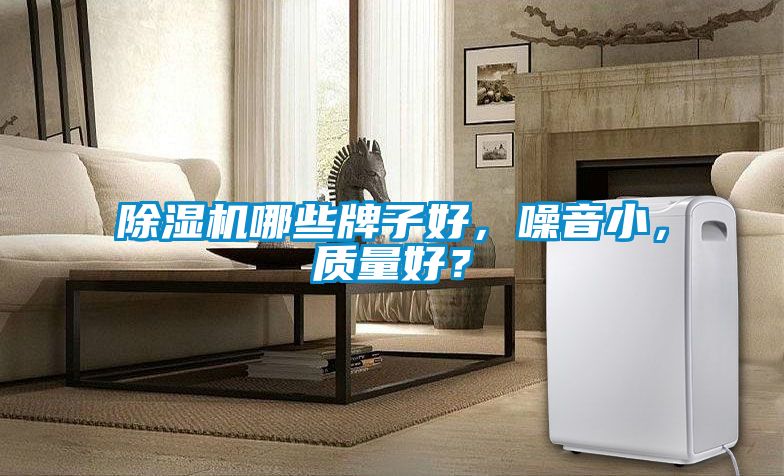 除濕機哪些牌子好，噪音小，質量好？