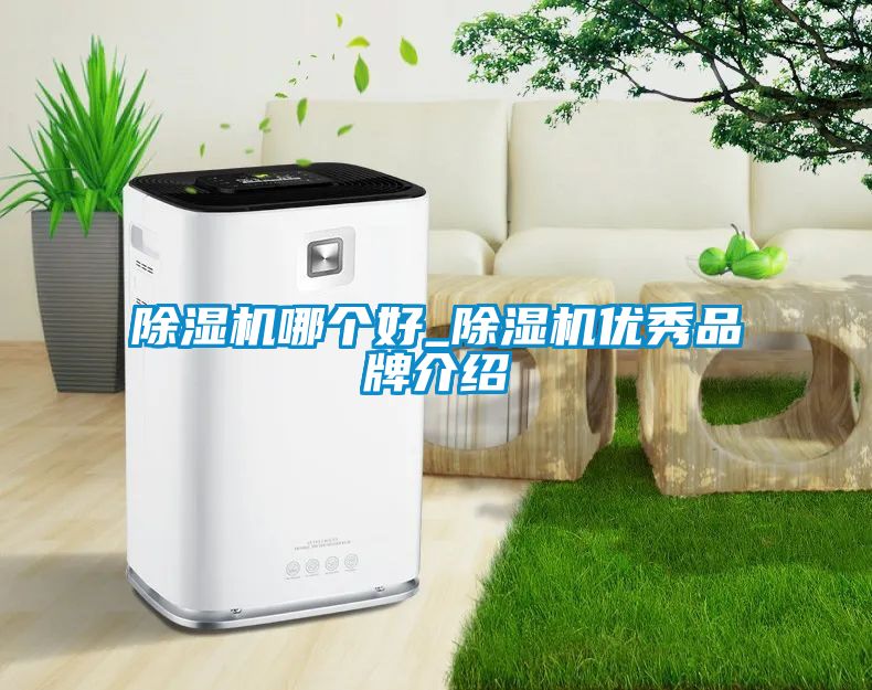 除濕機哪個好_除濕機優秀品牌介紹