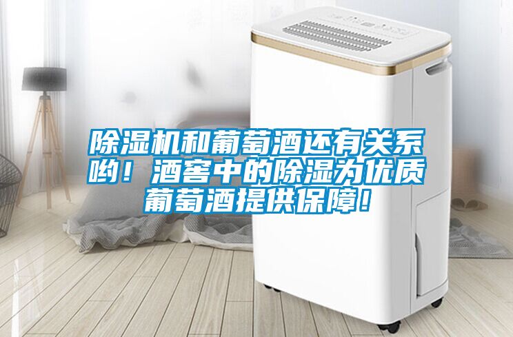 除濕機和葡萄酒還有關系喲！酒窖中的除濕為優質葡萄酒提供保障！