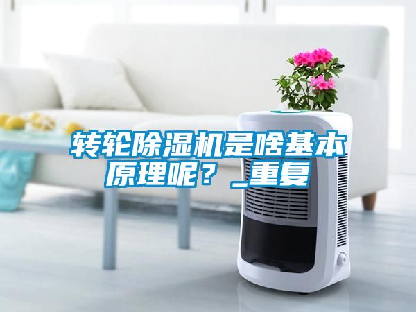 轉輪除濕機是啥基本原理呢？_重復