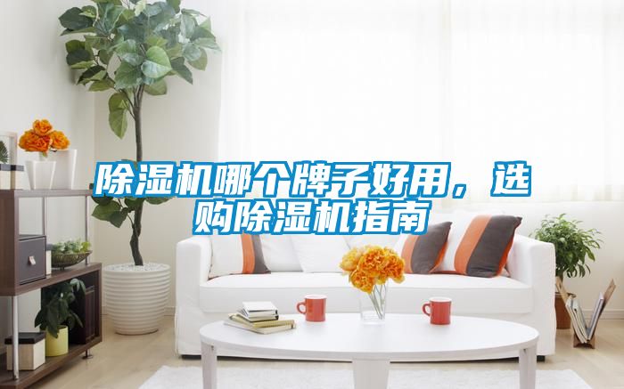 除濕機哪個牌子好用，選購除濕機指南