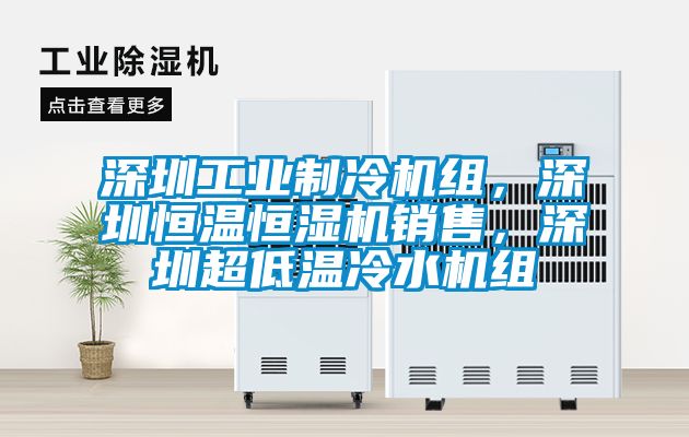 深圳工業制冷機組，深圳恒溫恒濕機銷售，深圳超低溫冷水機組