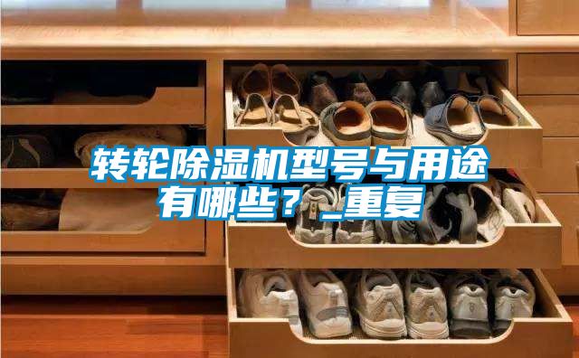 轉輪除濕機型號與用途有哪些？_重復