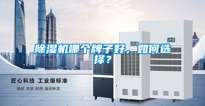 除濕機哪個牌子好，如何選擇？