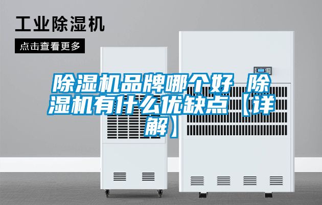 除濕機品牌哪個好 除濕機有什么優缺點【詳解】