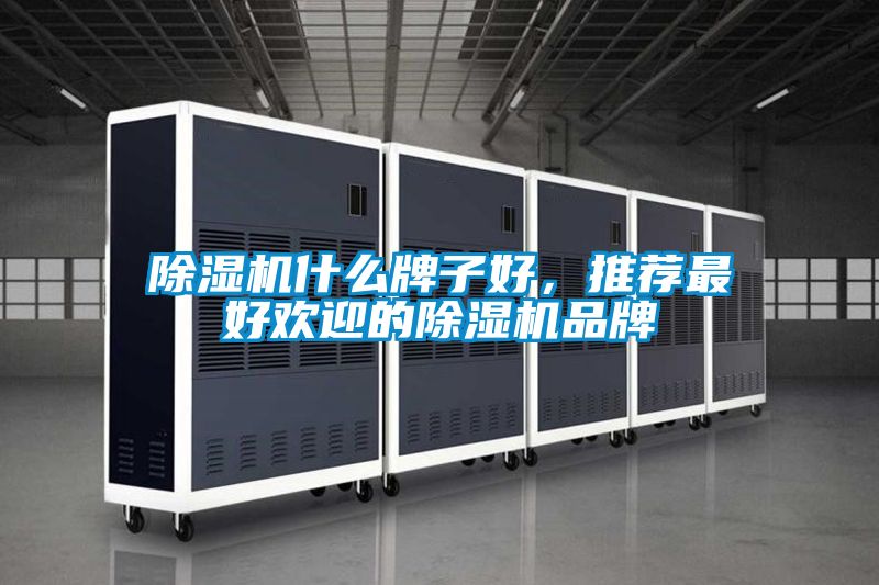 除濕機什么牌子好，推薦最好歡迎的除濕機品牌