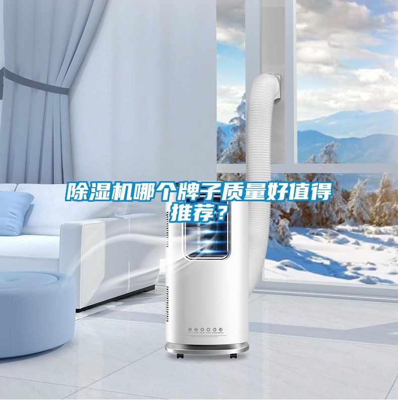 除濕機哪個牌子質量好值得推薦？