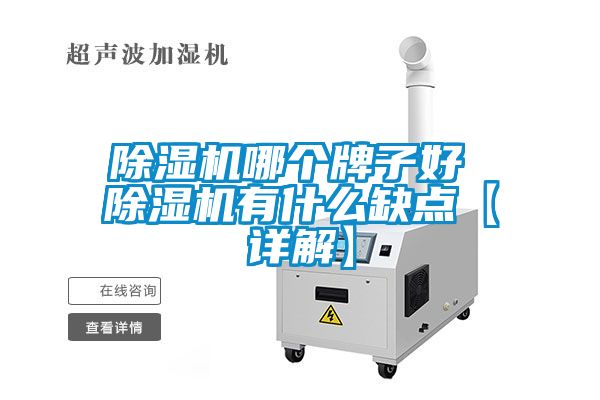 除濕機哪個牌子好 除濕機有什么缺點【詳解】