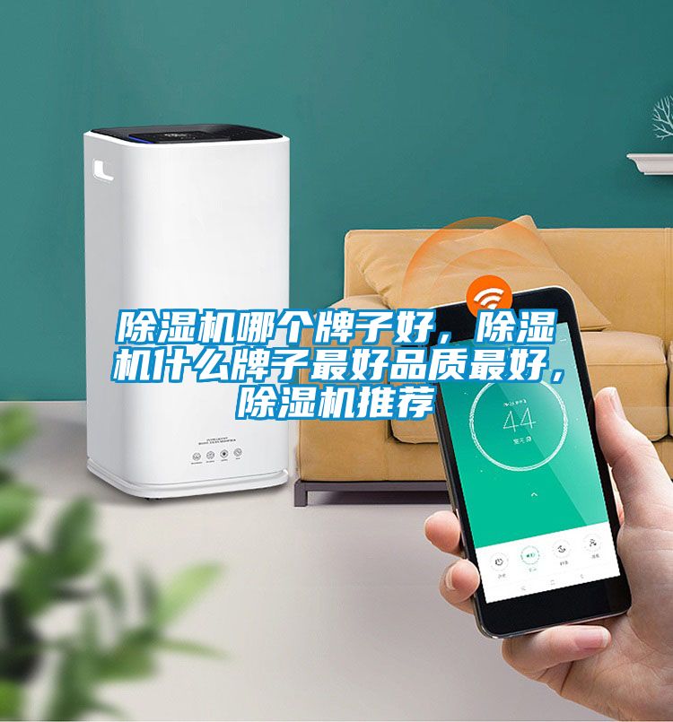 除濕機哪個牌子好，除濕機什么牌子最好品質最好，除濕機推薦