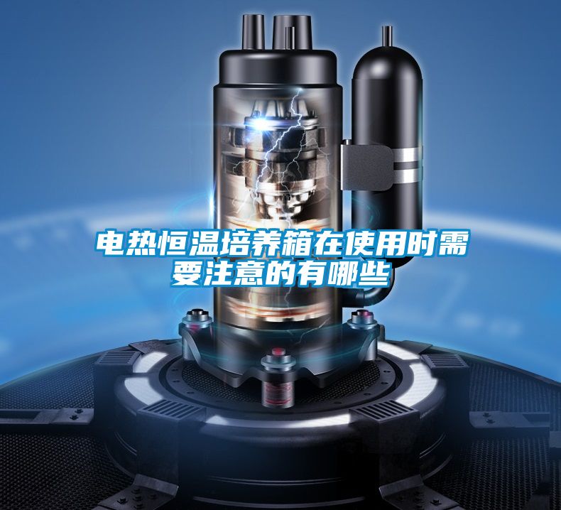 電熱恒溫培養箱在使用時需要注意的有哪些