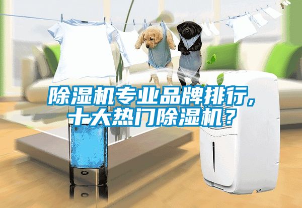 除濕機專業品牌排行,十大熱門除濕機？
