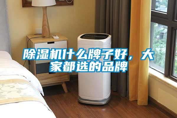 除濕機什么牌子好，大家都選的品牌