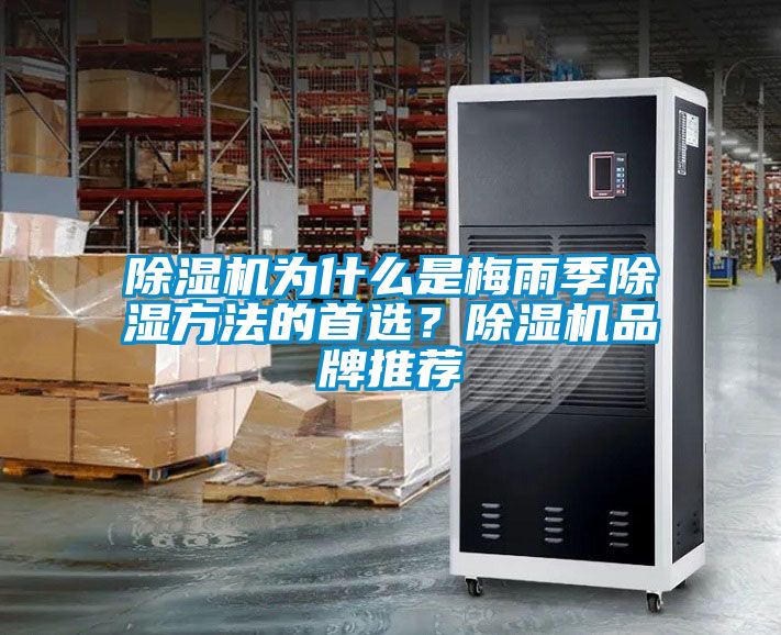 除濕機為什么是梅雨季除濕方法的首選？除濕機品牌推薦