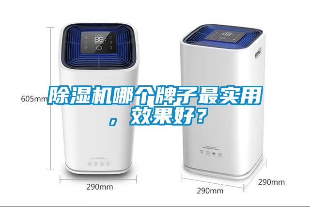 除濕機哪個牌子最實用，效果好？