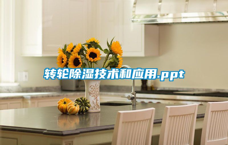 轉輪除濕技術和應用.ppt