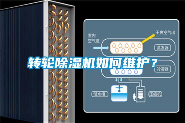 轉輪除濕機如何維護？