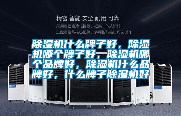 除濕機什么牌子好，除濕機哪個牌子好，除濕機哪個品牌好，除濕機什么品牌好，什么牌子除濕機好