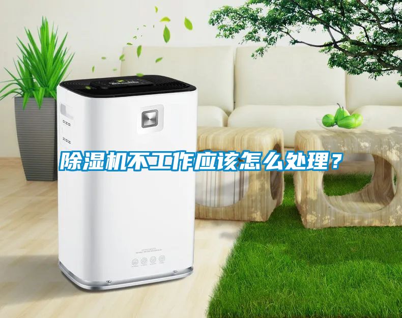除濕機不工作應該怎么處理？