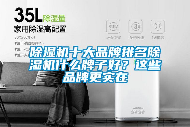 除濕機十大品牌排名除濕機什么牌子好？這些品牌更實在