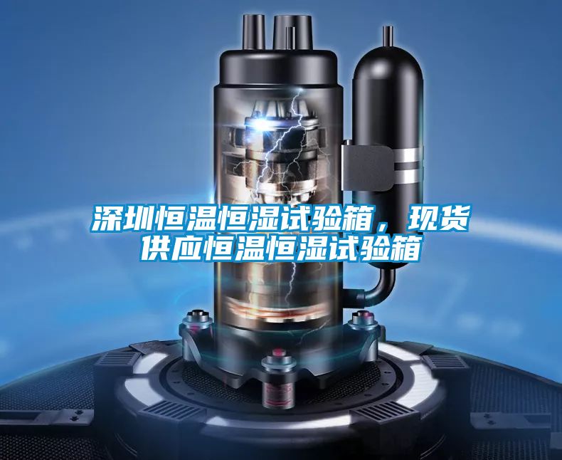深圳恒溫恒濕試驗箱，現貨供應恒溫恒濕試驗箱