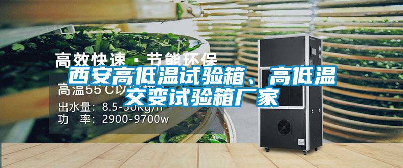 西安高低溫試驗箱、高低溫交變試驗箱廠家