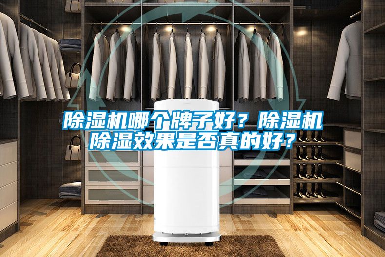 除濕機哪個牌子好？除濕機除濕效果是否真的好？