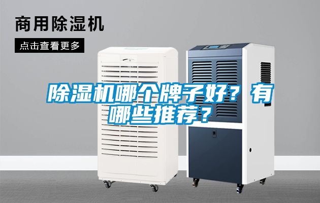 除濕機哪個牌子好？有哪些推薦？