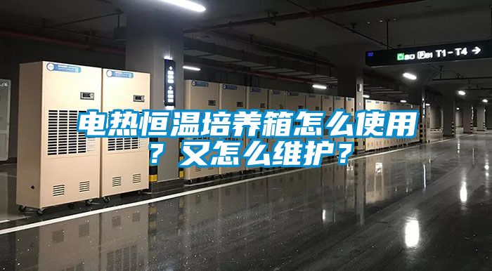 電熱恒溫培養箱怎么使用？又怎么維護？