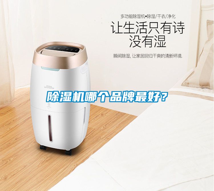 除濕機哪個品牌最好？