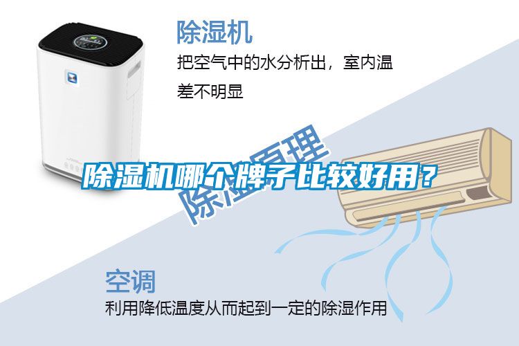 除濕機哪個牌子比較好用？