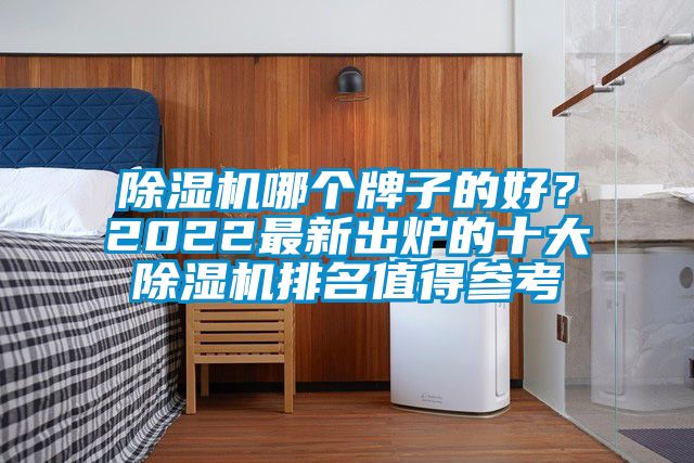 除濕機哪個牌子的好？2022最新出爐的十大除濕機排名值得參考