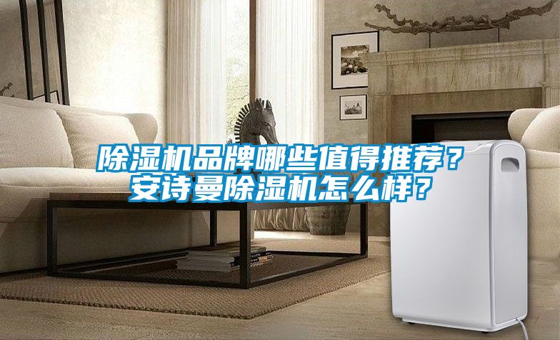 除濕機品牌哪些值得推薦？安詩曼除濕機怎么樣？