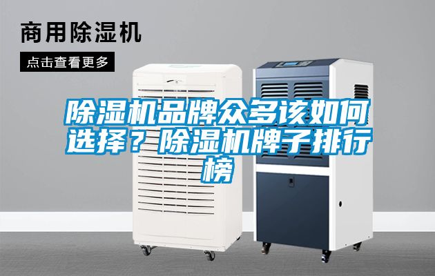 除濕機品牌眾多該如何選擇？除濕機牌子排行榜