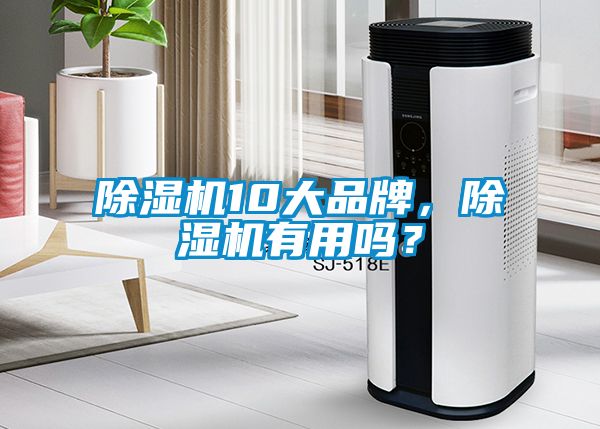 除濕機10大品牌，除濕機有用嗎？