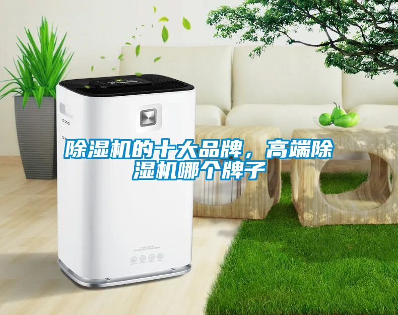 除濕機的十大品牌，高端除濕機哪個牌子