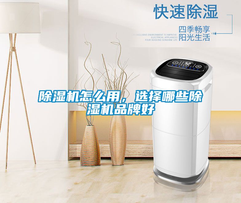 除濕機怎么用，選擇哪些除濕機品牌好