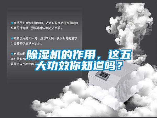 除濕機的作用，這五大功效你知道嗎？